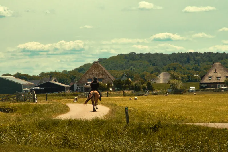 A rider on horseback follows a winding path through a field towards thatched farmhouses and a wooded hill